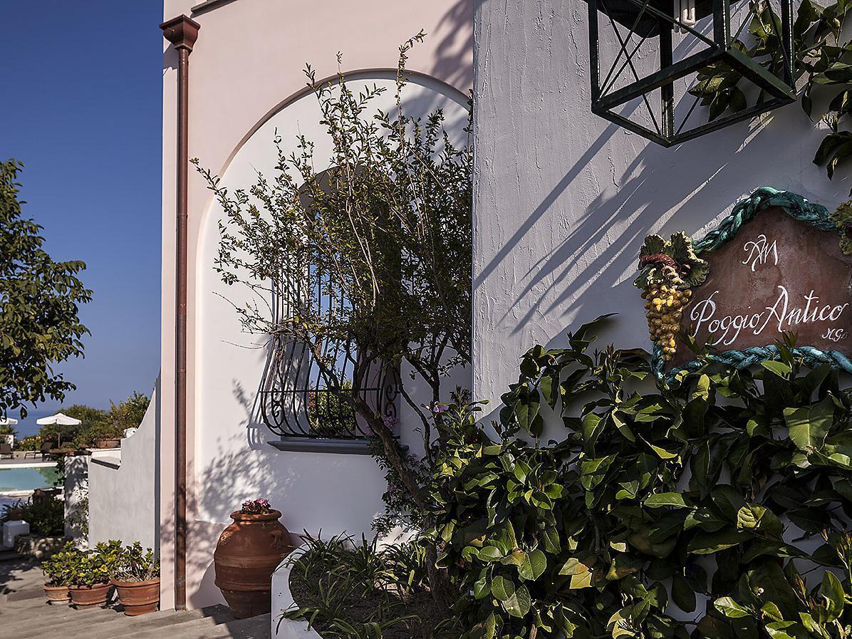 Tenuta Del Poggio Antico Hotel Forio di Ischia Kültér fotó